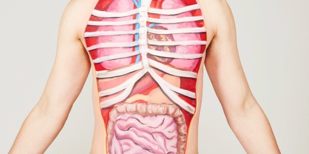 Top 10: What are the heaviest organs in the human body?